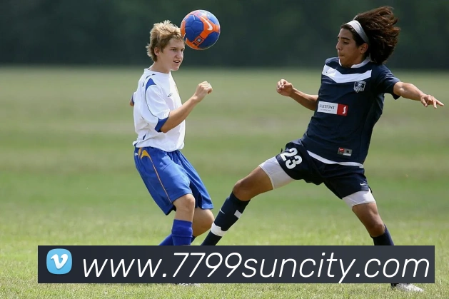 太阳城发展历程